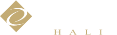 footer alt logo